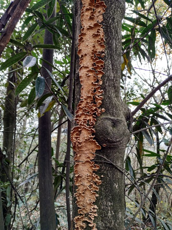 杭州市周末自驾游去哪里好玩,杭州出发周末旅游攻略