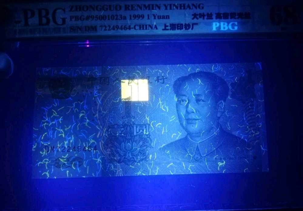 991大叶兰的闪光点