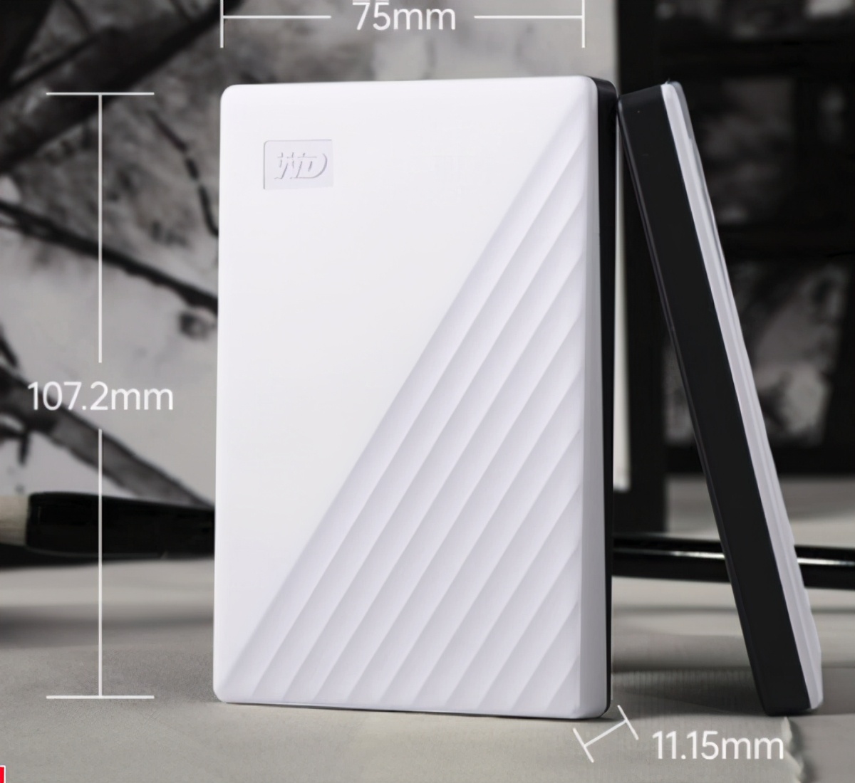 西部数据硬盘怎么选,西部数据硬盘和三星硬盘哪个好