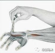 打通胳膊经络锻炼动作和方法,手臂经络不通松解法教程