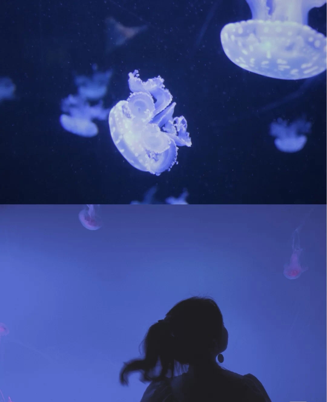 合肥周边亲子自驾游推荐景点,合肥亲子室内一日游攻略