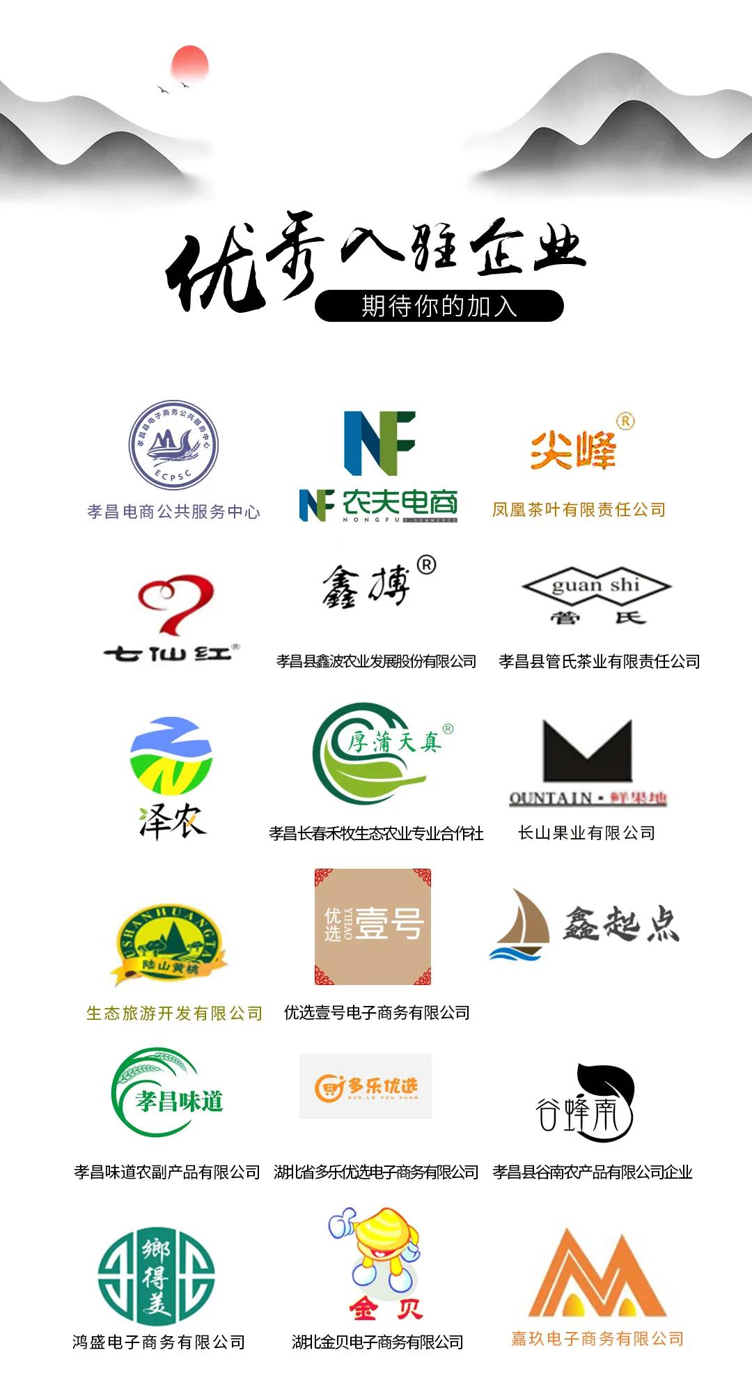 孝昌县电商扶贫示范企业,孝昌县电商企业有哪些