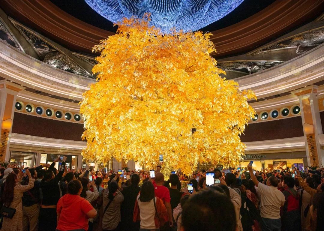 澳门赌场旅游攻略自由行,澳门免费游