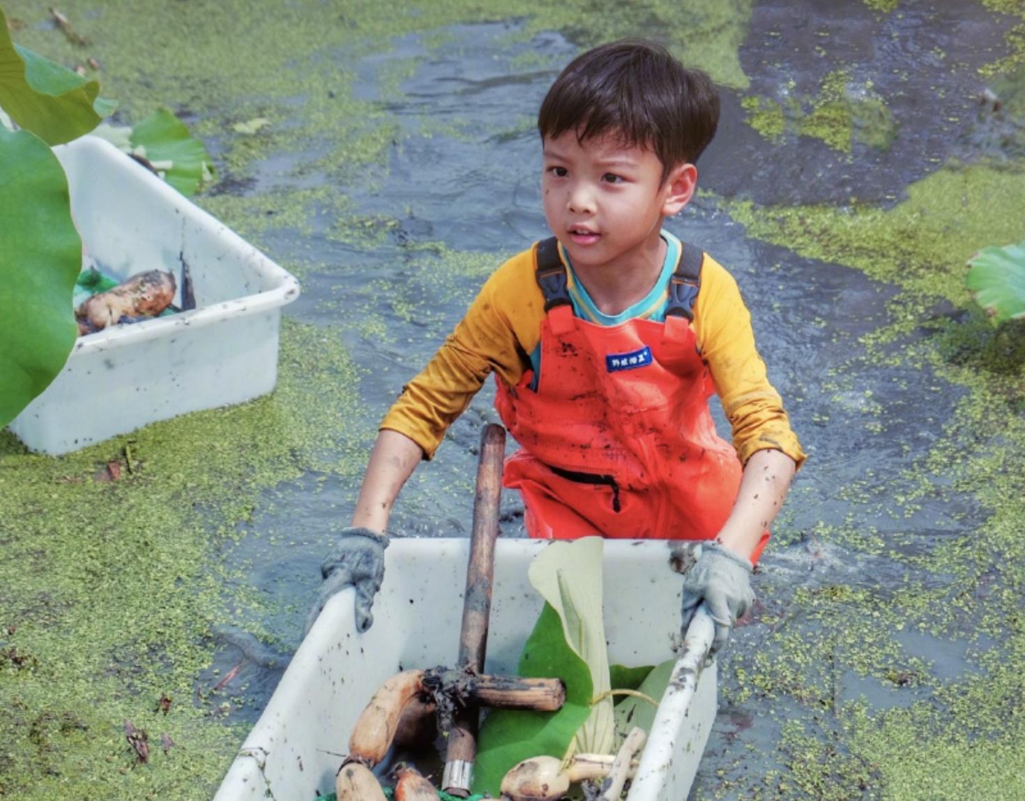 2020年女明星生孩子列表,9位高龄生二胎的女星