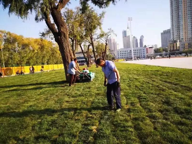 哈尔滨八区体育场,哈尔滨体育场开放时间