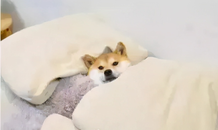 睡衣臃肿邋遢？扔掉换它！藏肉10斤，升温8度，在家穿又美又暖