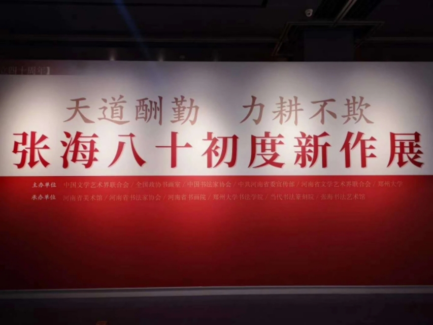 张海书法是江湖体吗,当代知名书法家张海江