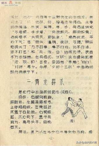 少林十三抓拳谱,古传拳经拳法秘要手抄本