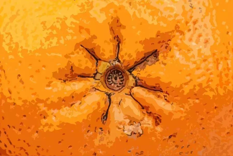 菊花残，满地伤！现在*眼屁**不好的年轻人，越来越多了