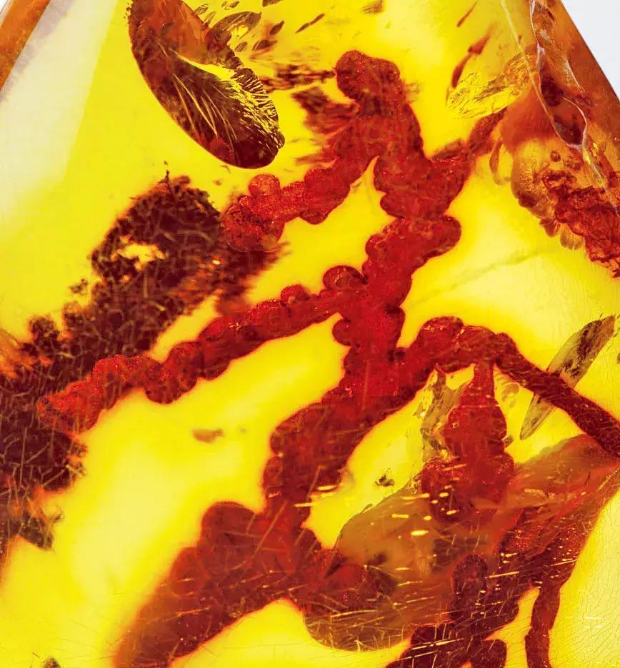 波罗的海琥珀磨砂,波罗的海琥珀血珀