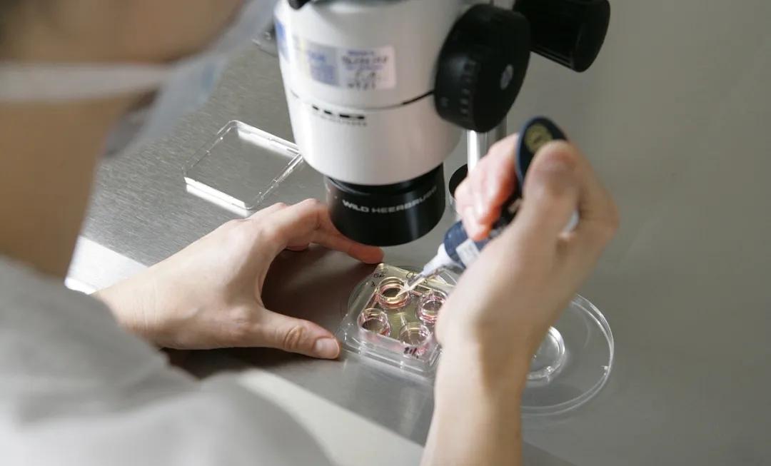 试管为什么要每天打针,试管为啥要2天抽一次血