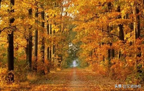 安徽旅行必去的10大景点,安徽旅行攻略必去十大景点