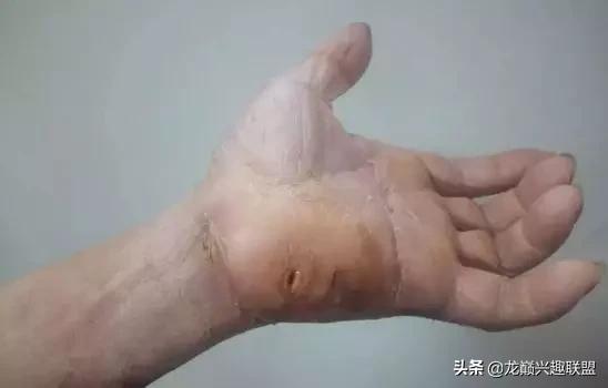 魟鱼活泼,魟鱼胆子小表现