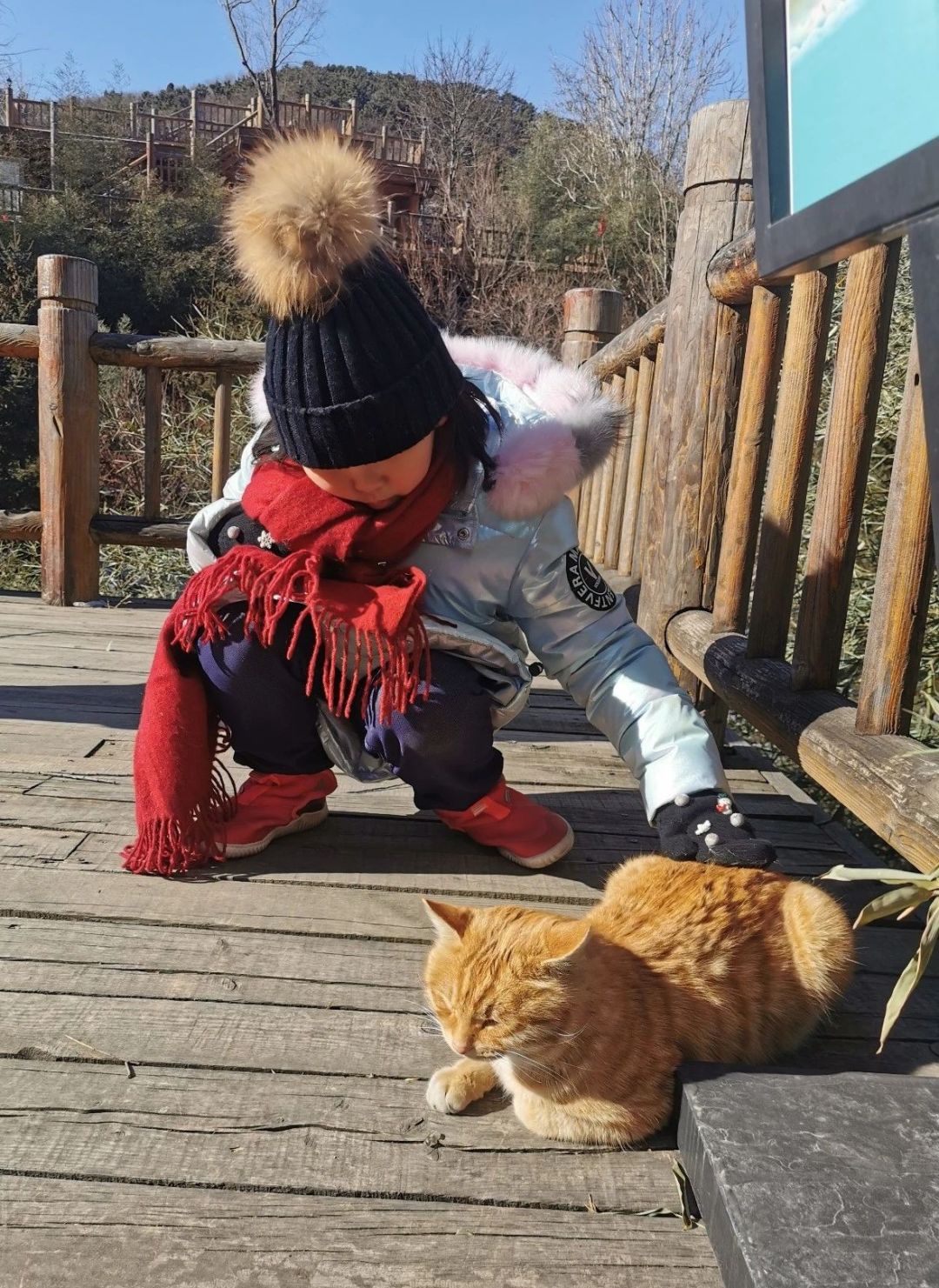 九如山冬日旅游,九如山旅游攻略一日游春季