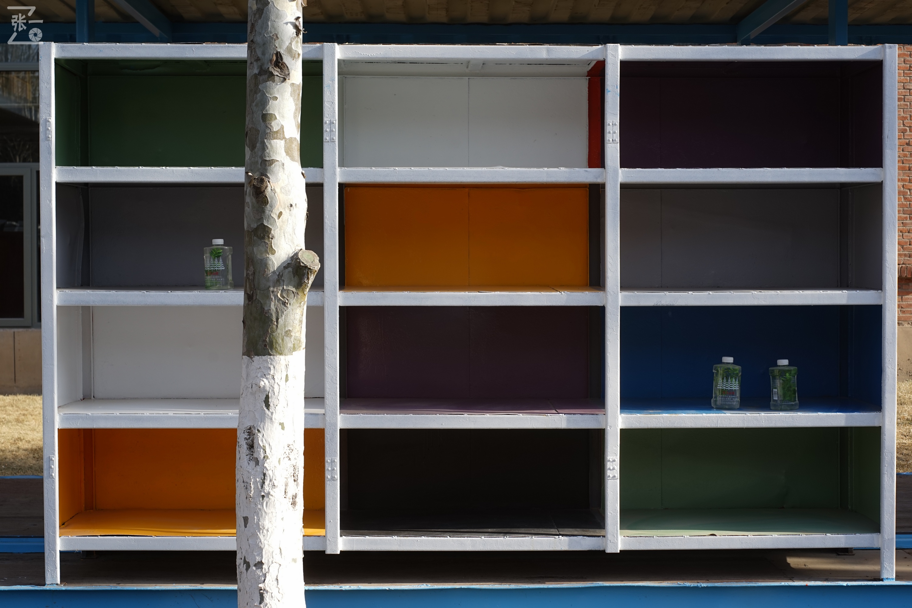 日本进口雅西卡胶卷相机,雅西卡135相机