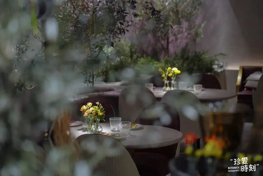 上海新开餐厅名单,上海好吃环境又优雅的餐厅推荐