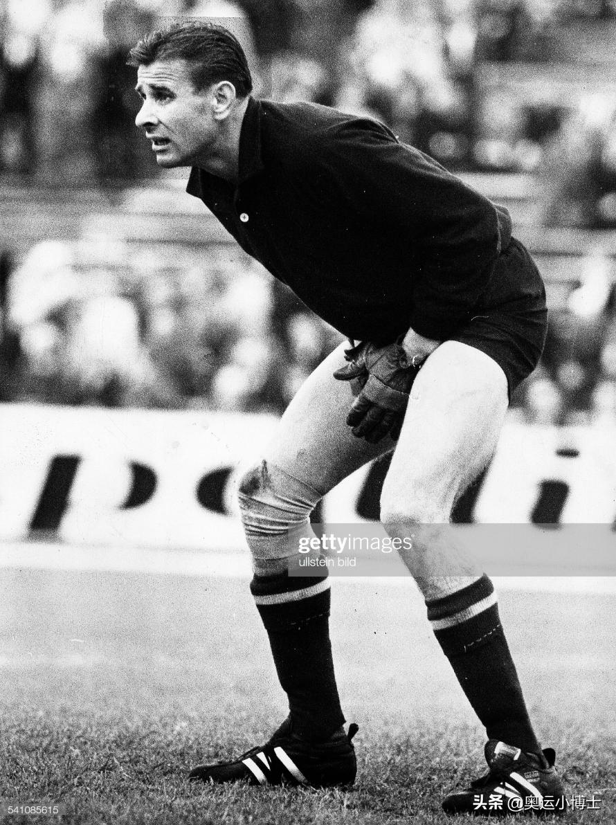 阿尔沙文与普京,阿尔沙文欧洲杯之旅