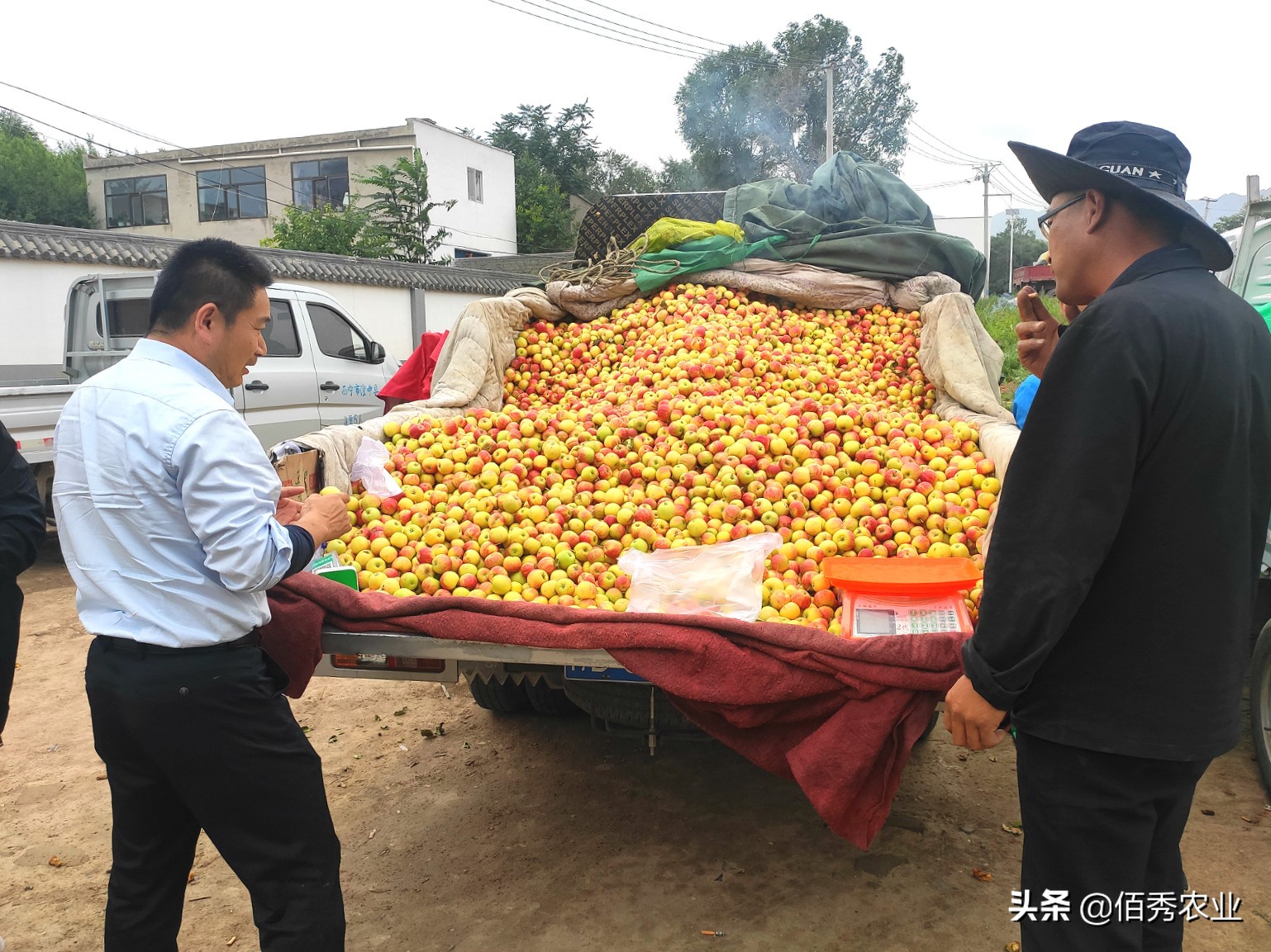 做卖水果的生意好吗,做水果生意都要自己去拉货吗