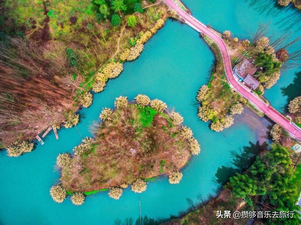 来成都逛绿道,逛绿道