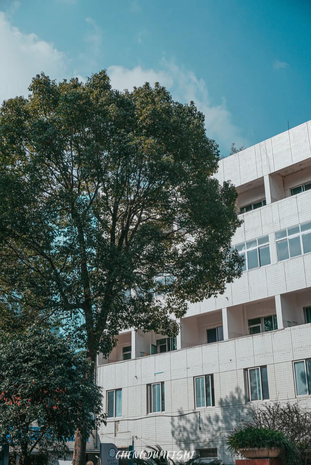 四川省青神县有哪些地方,四川青神有什么好玩的