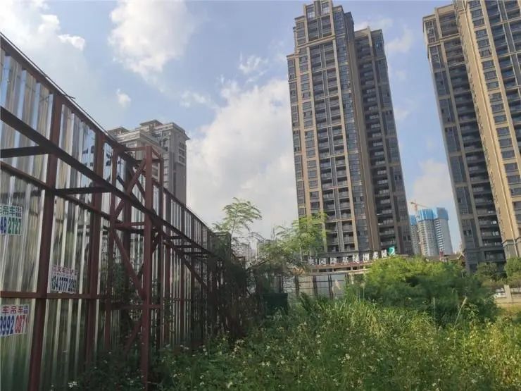 龙光地产2020年收1200亿,龙光再次拿下龙华地王