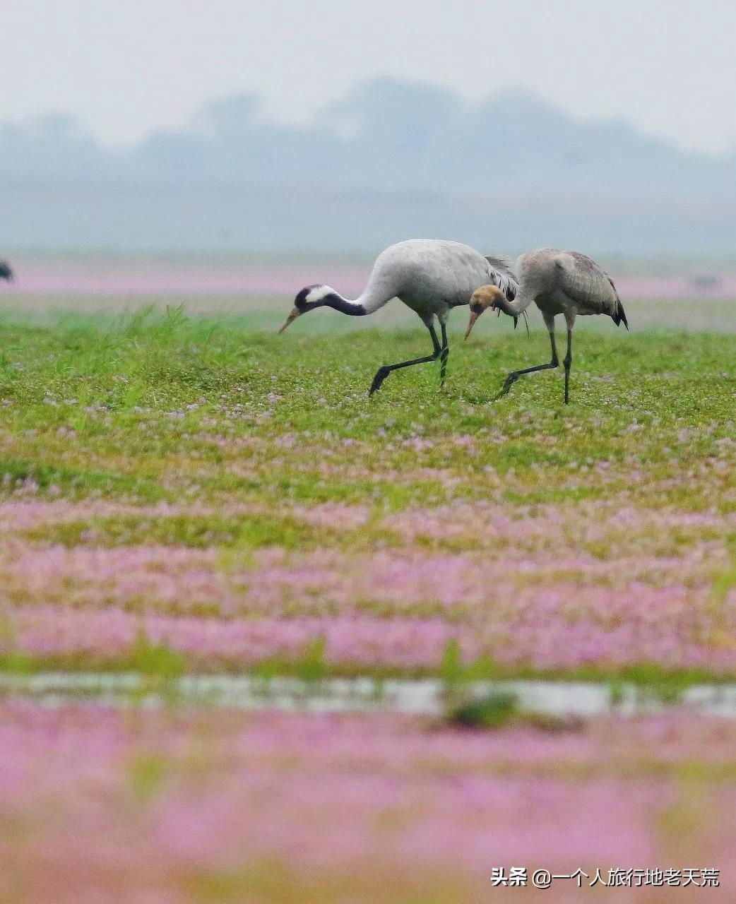 这才是12月最值得去的旅行地,11月12月去哪里旅游最美