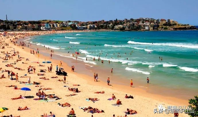 悉尼邦迪海滩,悉尼邦迪海滩新闻