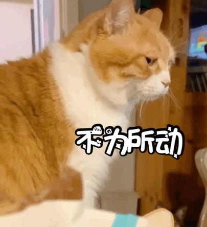 非农数据解读,最新非农数据报告