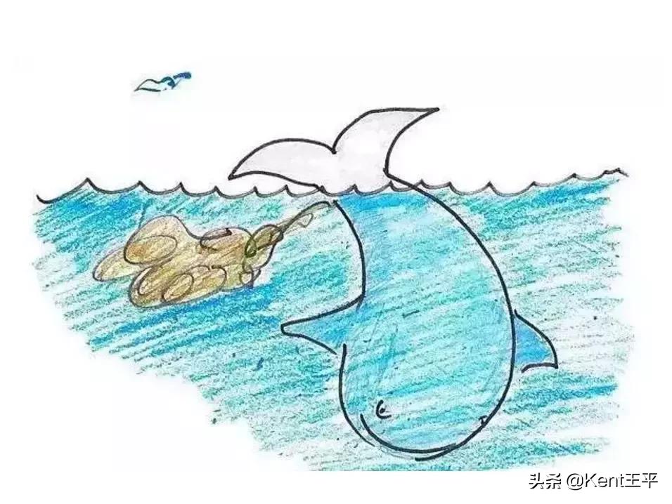 海里的粑粑,海里有粪便吗