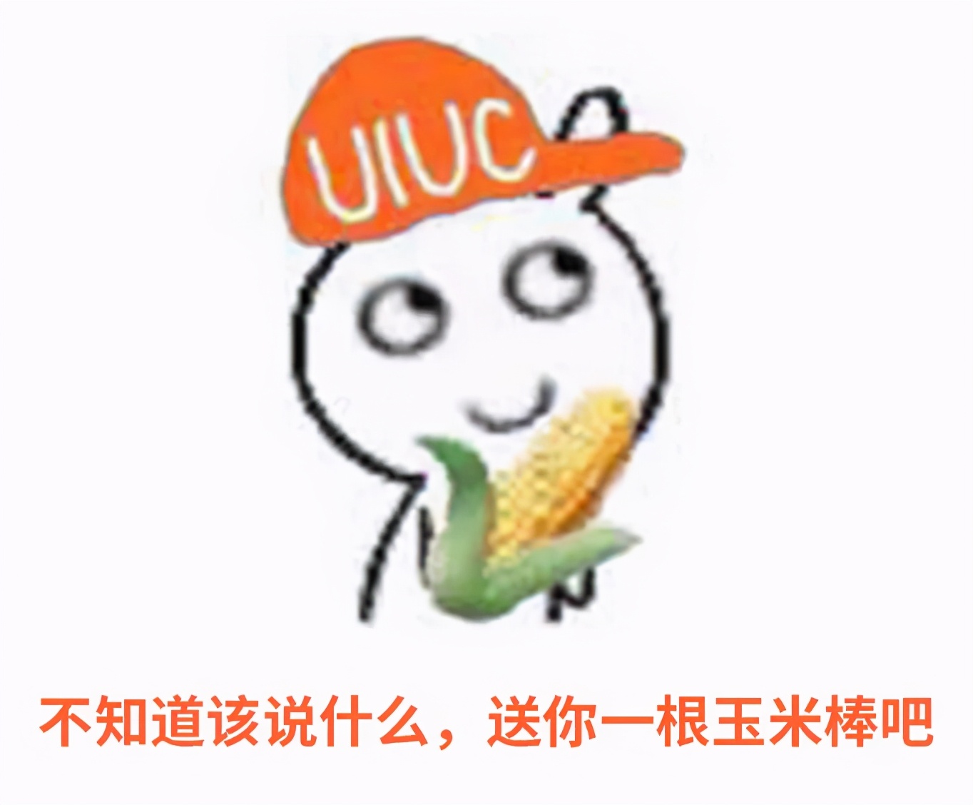 综排不高，但专业牛！中国学生最爱的玉米地神校，不该被低估