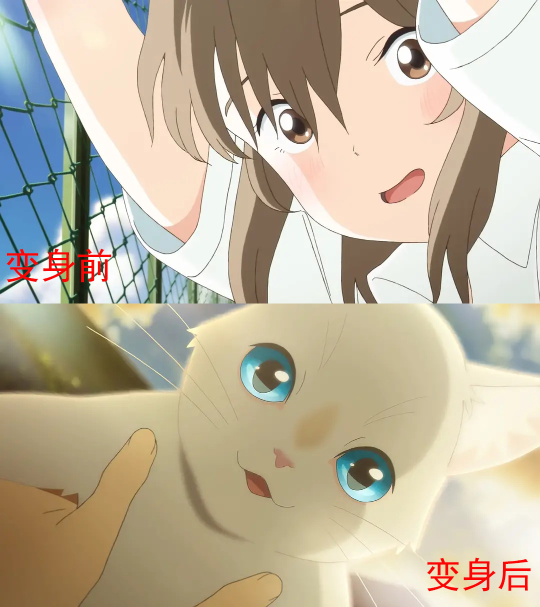 头条系买了一部日本动画,观影体验却很难令人满意