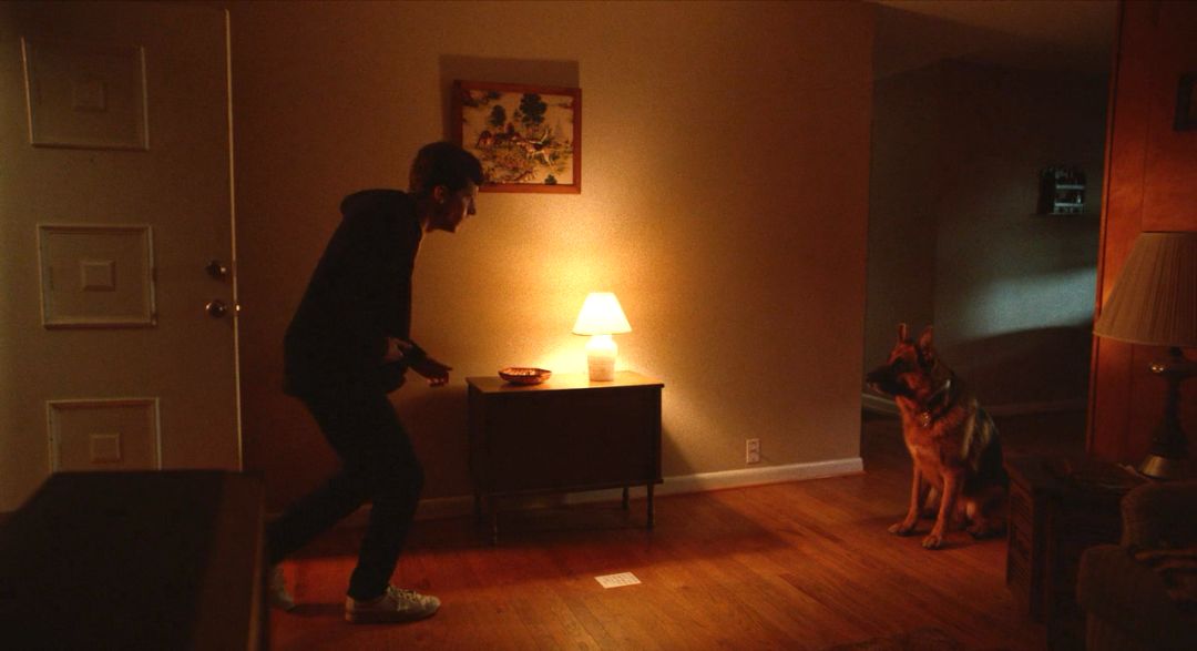 年度最黑喜剧，邪门到猜不出套路