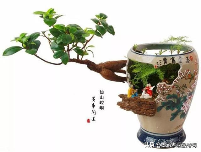 国学读本及名言名句55句,国学名言警句摘抄大全简短