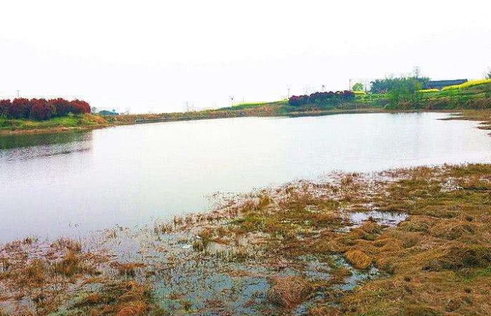 初春二月钓鱼,二月初钓鱼怎么样