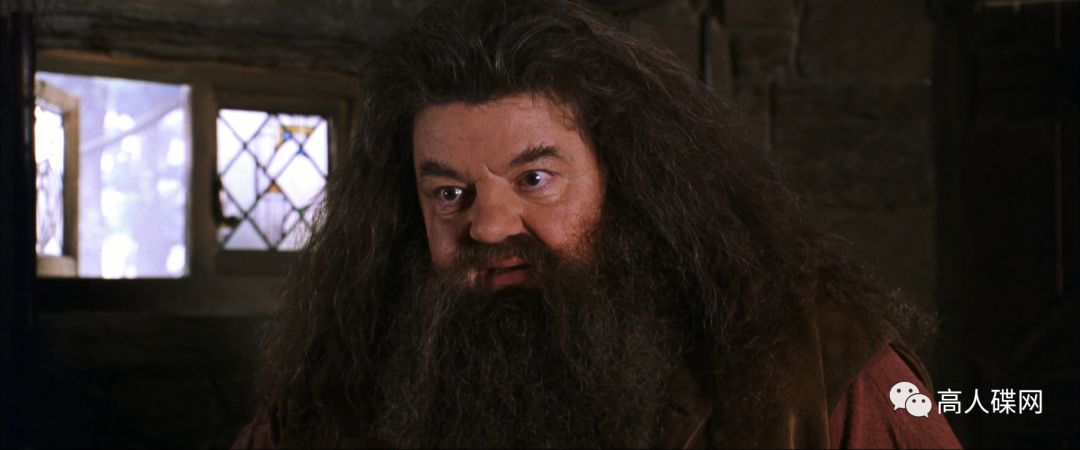 高人碟报：中录华纳正版BD《哈利波特与密室》