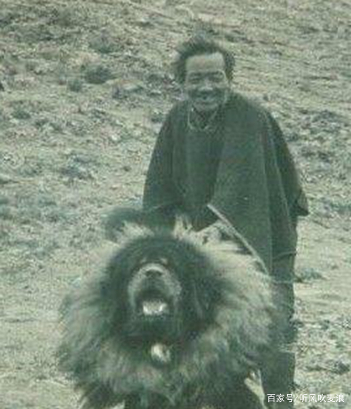 《遥远的乡愁》:老杨有过“背狼”经历,所以练就了一双铁脚板