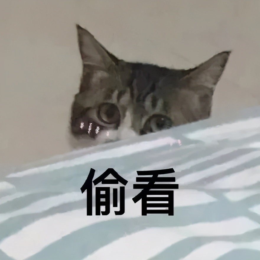 @打工人：不想“富贵包”变成“夺命包”，5招帮你消！