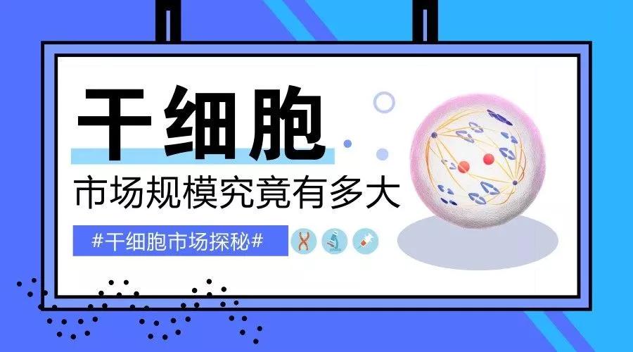 国内干细胞产业解读,全球干细胞市场规模