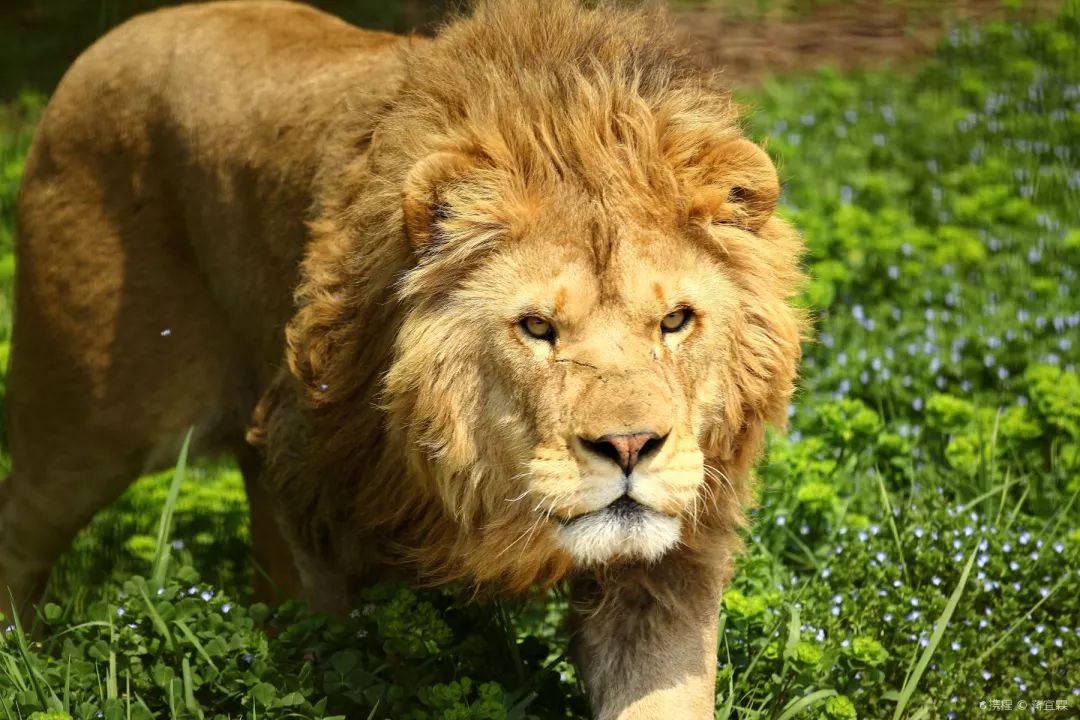 周末游玩优惠票,0元优惠票