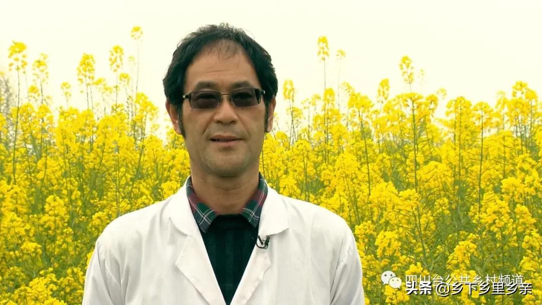 油菜得了病用什么药,油菜生病了怎么防治