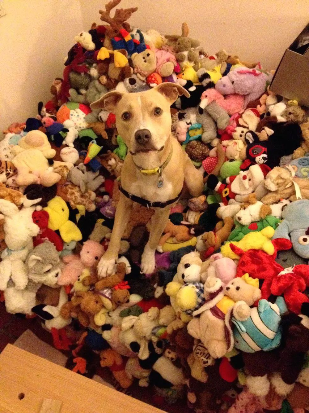 小朋友学会的玩具收纳小技巧,儿童玩具客厅收纳整理技巧