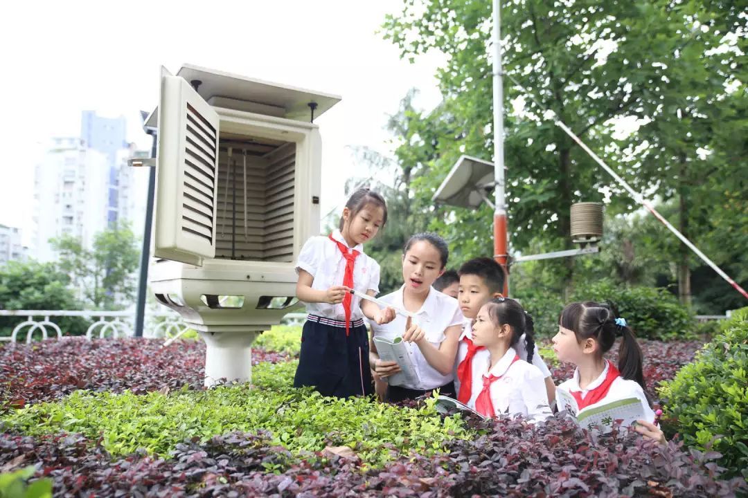 重庆珊瑚小学和树人小学哪个好,重庆珊瑚小学排名第几