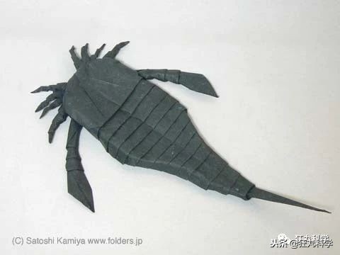 折纸大神的所有折纸,折纸大神教折纸