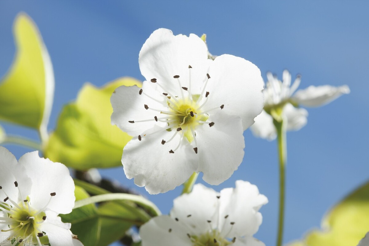 民之从事常于几成而败之慎终如始,民知从事常于几成而败之