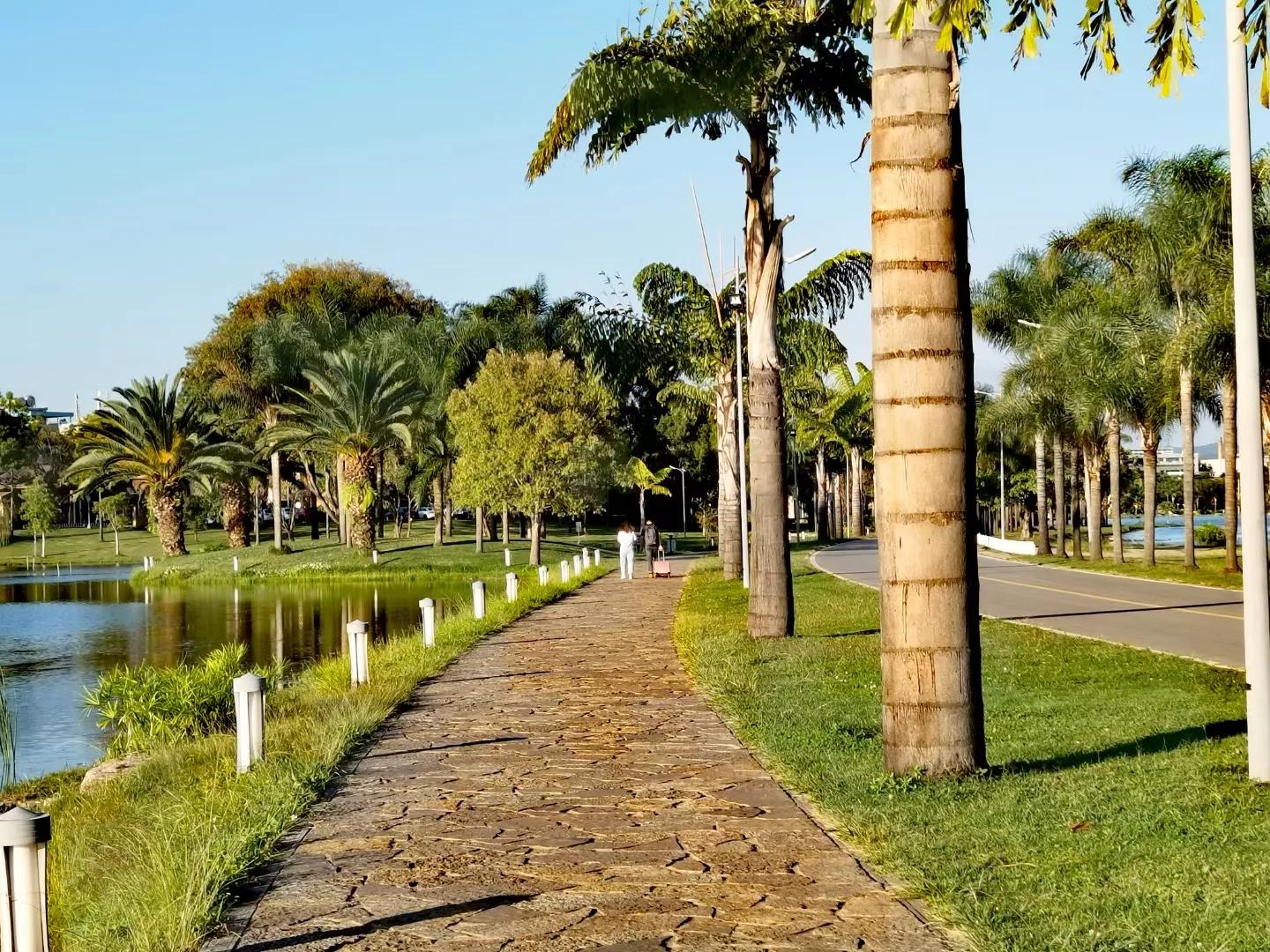 重庆阿姨弥勒看房记，浅谈养老是买房还是租？