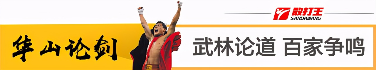 王友唐谈武术视频,王友唐评价武术