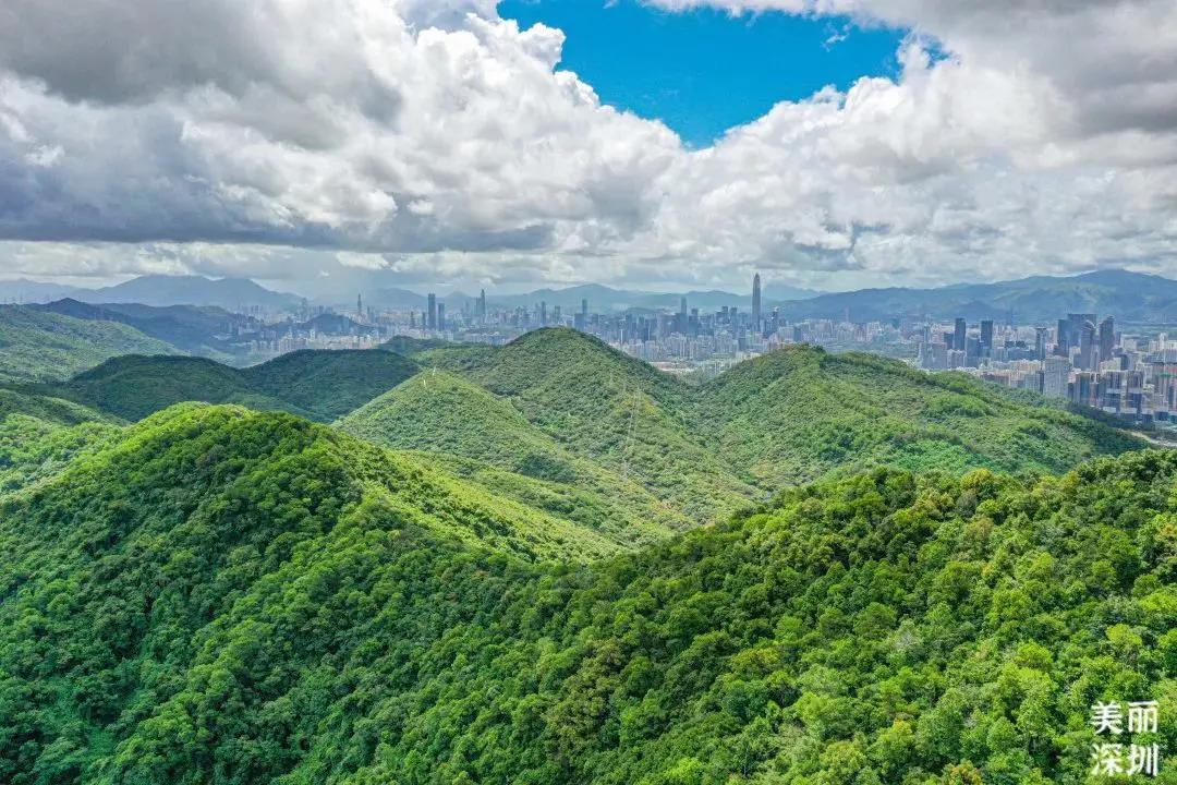 不离深也能“游”|公园超全攻略来了！千园之城，总有一款公园适合你