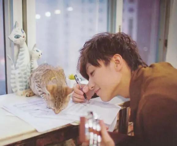 知名艺人自杀后,他的父母却被网暴了