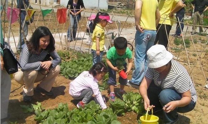 农民众筹农庄多少钱,农庄众筹模式成功案例