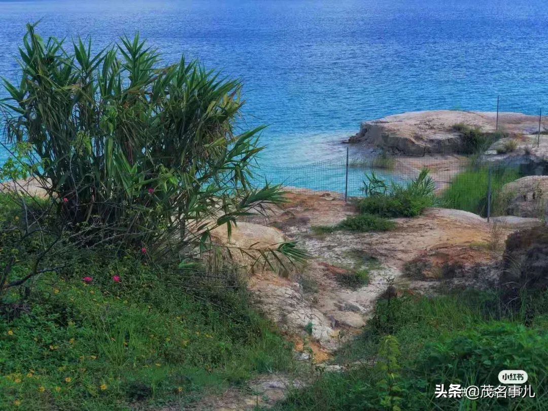 茂名哪个地方热,茂名很漂亮的风景
